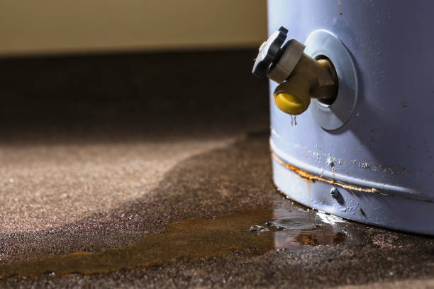 Best Emergency water extraction  in Knightdale, NC