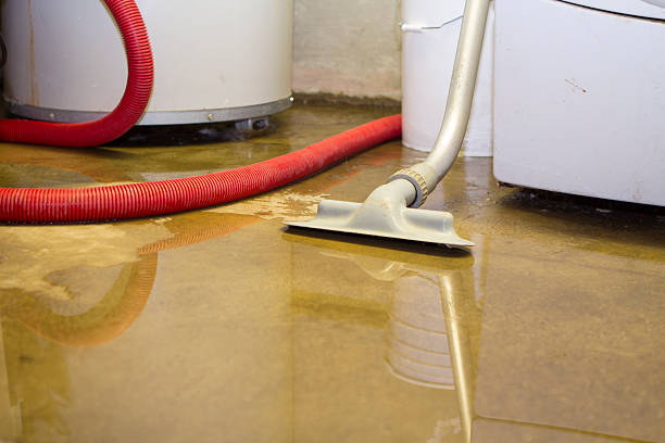 Best Local water damage restoration  in Knightdale, NC