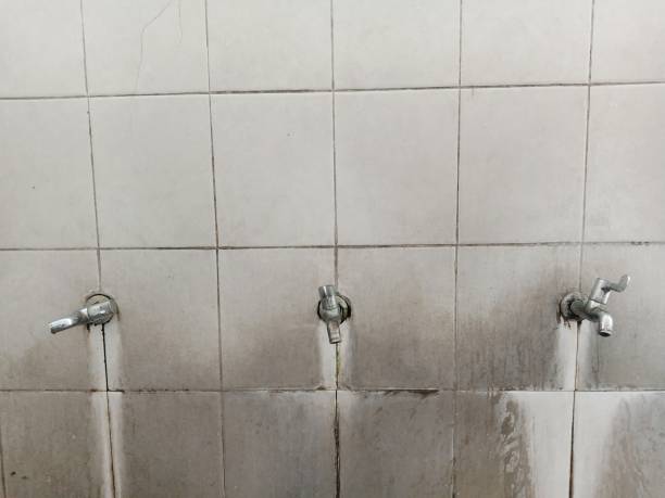 Best Commercial water damage restoration  in Knightdale, NC