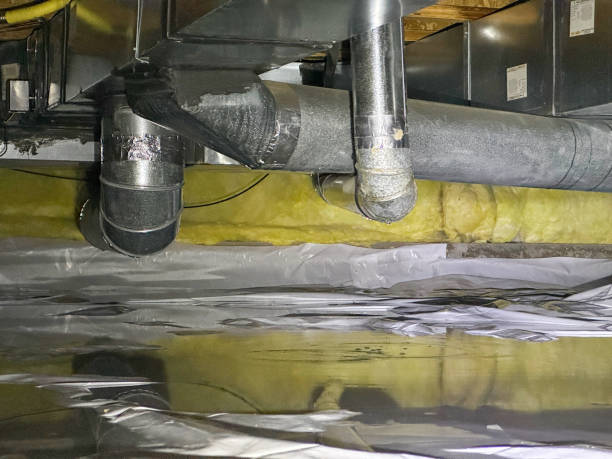 Best Basement water damage restoration  in Knightdale, NC
