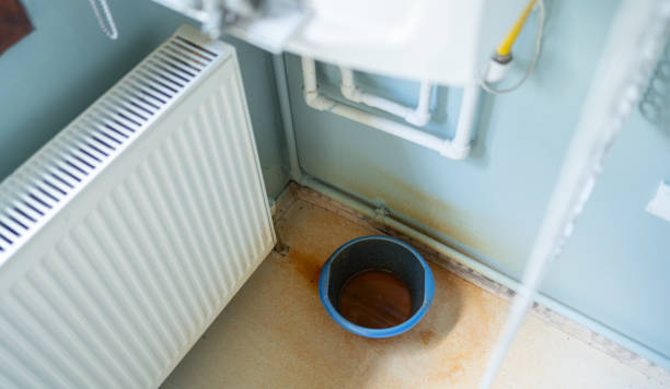 Best Carpet water damage restoration  in Knightdale, NC