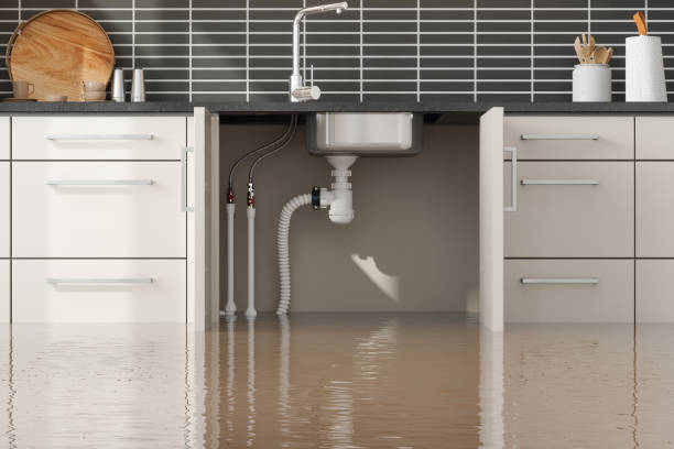 Best Flood restoration services  in Knightdale, NC
