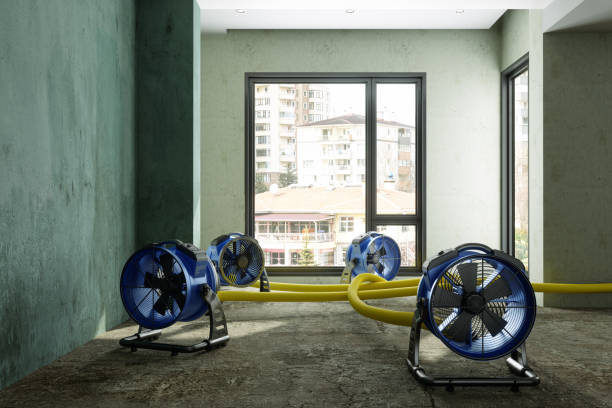 Best Fire Damage Restoration  in Knightdale, NC